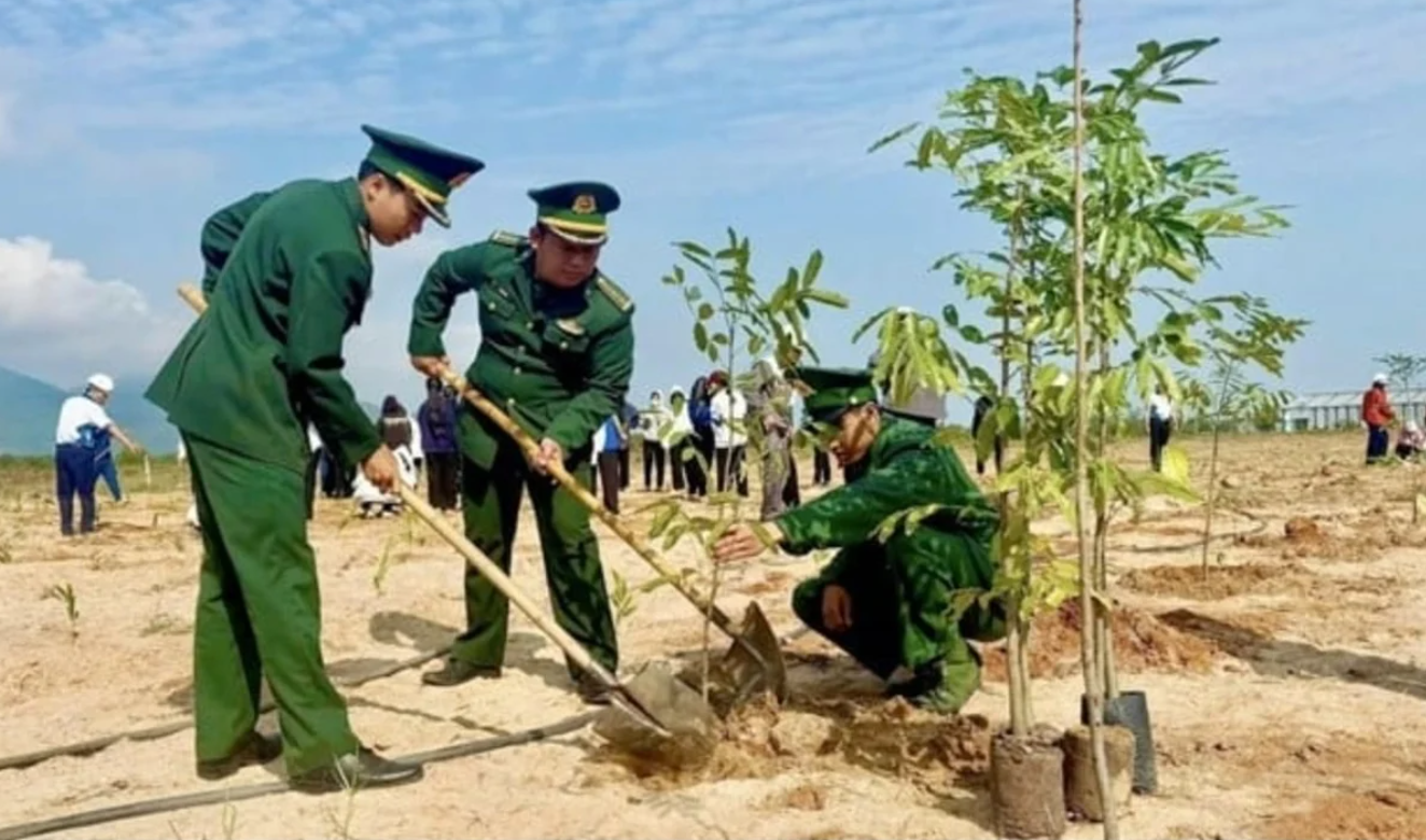 Hue launches US$10 million climate adaptation project